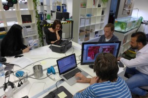büro web 